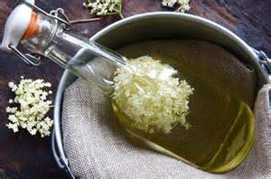 elderflower potion, foraging, potions, magic, spells, magic school, magic online, wicca, witchcraft, witchcraft spells, witch spells, wiccan spells, learn magic, learn spells